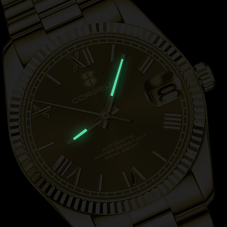 Corgeut 6002 NH35 Movement Sapphire Mirror 100m waterproof