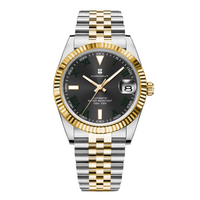 Corgeut 6002 NH35 Movement Sapphire Mirror 100m waterproof