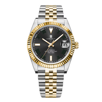 Corgeut 6002 NH35 Movement Sapphire Mirror 100m waterproof