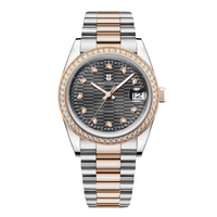 Corgeut 6002 NH35 Movement Sapphire Mirror 100m waterproof