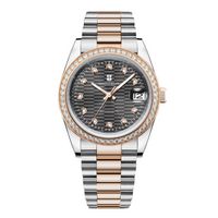 Corgeut 6002 NH35 Movement Sapphire Mirror 100m waterproof