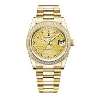 Corgeut 6002 NH35 Movement Sapphire Mirror 100m waterproof